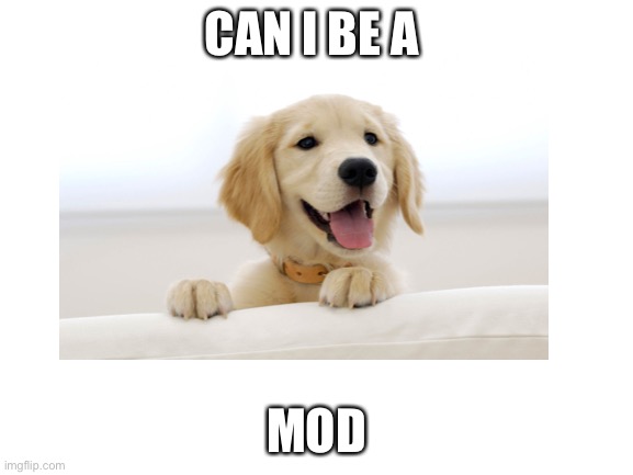 CAN I BE A; MOD | made w/ Imgflip meme maker