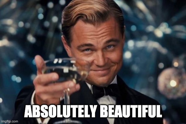 ABSOLUTELY BEAUTIFUL | image tagged in memes,leonardo dicaprio cheers | made w/ Imgflip meme maker
