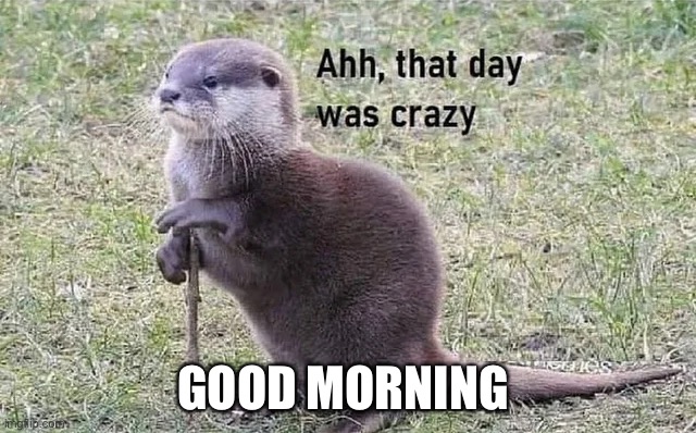 That day was crazy | GOOD MORNING | image tagged in that day was crazy | made w/ Imgflip meme maker
