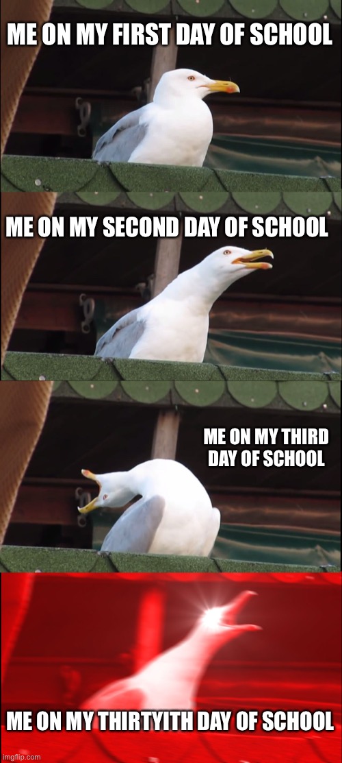 Nasty school and what it Does to your brain | ME ON MY FIRST DAY OF SCHOOL; ME ON MY SECOND DAY OF SCHOOL; ME ON MY THIRD DAY OF SCHOOL; ME ON MY THIRTYITH DAY OF SCHOOL | image tagged in memes,inhaling seagull | made w/ Imgflip meme maker
