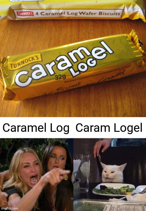 They should've put more thought into this! | Caramel Log; Caram Logel | image tagged in memes,woman yelling at cat,design fails,task failed successfully,chocolate,funny | made w/ Imgflip meme maker