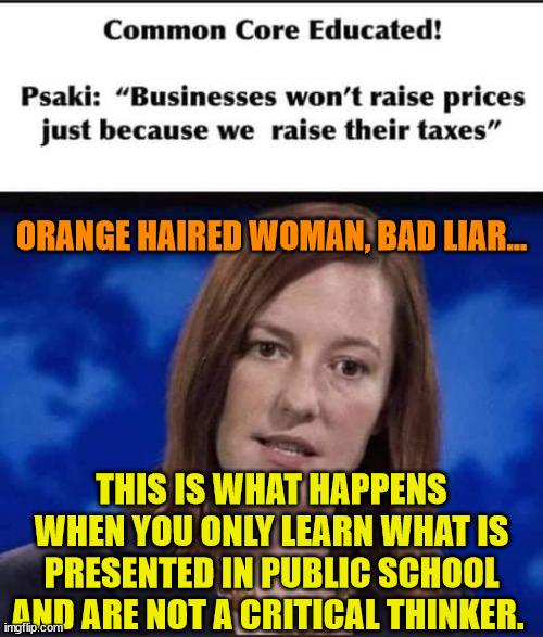  ORANGE HAIRED WOMAN, BAD LIAR... THIS IS WHAT HAPPENS WHEN YOU ONLY LEARN WHAT IS PRESENTED IN PUBLIC SCHOOL AND ARE NOT A CRITICAL THINKER. | image tagged in orange haired woman,liar,circleback | made w/ Imgflip meme maker