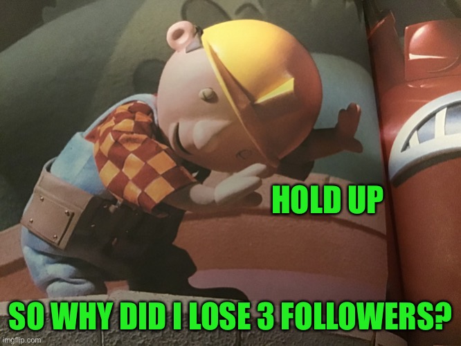 Y tho lol | HOLD UP; SO WHY DID I LOSE 3 FOLLOWERS? | image tagged in hold up bob | made w/ Imgflip meme maker