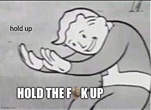 Fallout Hold Up | HOLD THE F    K UP | image tagged in fallout hold up | made w/ Imgflip meme maker