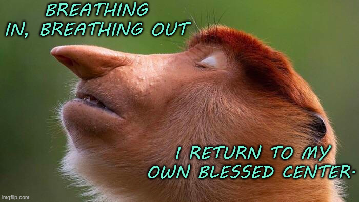 Breath | BREATHING IN, BREATHING OUT; I RETURN TO MY OWN BLESSED CENTER. | image tagged in breath,affirmation | made w/ Imgflip meme maker