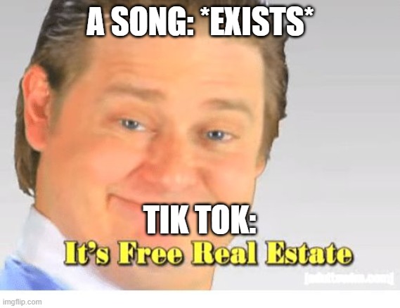 It's Free Real Estate | A SONG: *EXISTS*; TIK TOK: | image tagged in it's free real estate | made w/ Imgflip meme maker