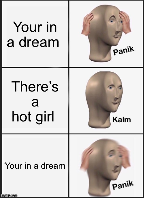 Panik Kalm Panik Meme | Your in a dream; There’s a hot girl; Your in a dream | image tagged in memes,panik kalm panik | made w/ Imgflip meme maker