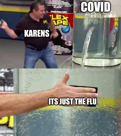 N O I T S N O T T  T T T T T  T T | COVID; KARENS; ITS JUST THE FLU | image tagged in flex tape | made w/ Imgflip meme maker