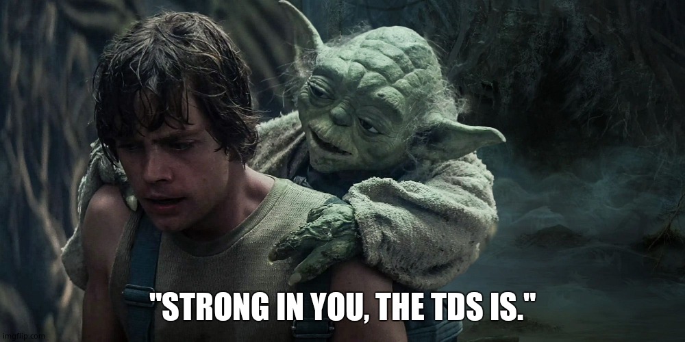 In the end, cowards are those that follow the dark side - Yoda | "STRONG IN YOU, THE TDS IS." | image tagged in luke and yoda,mark hamill,left wing,trump derangement syndrome,boycott hollywood,political meme | made w/ Imgflip meme maker