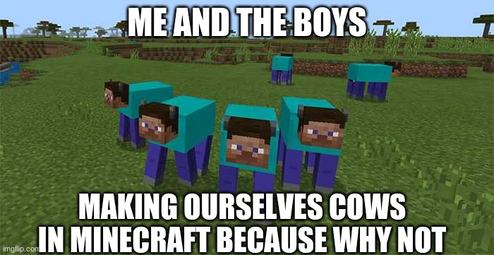 Why not, why shouldn't we turn ourselves into cows? | ME AND THE BOYS; MAKING OURSELVES COWS IN MINECRAFT BECAUSE WHY NOT | image tagged in me and the boys | made w/ Imgflip meme maker