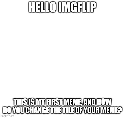 Blank White Template | HELLO IMGFLIP; THIS IS MY FIRST MEME, AND HOW DO YOU CHANGE THE TILE OF YOUR MEME? | image tagged in blank white template | made w/ Imgflip meme maker
