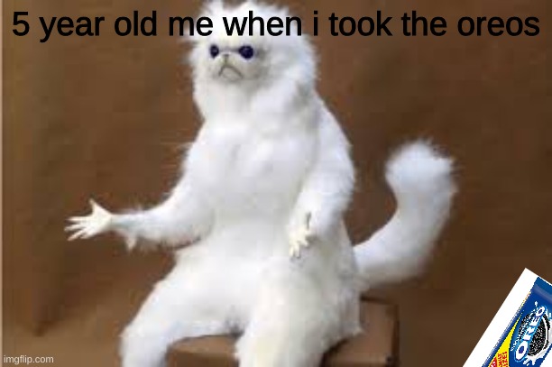 Angry Cat Meme | 5 year old me when i took the oreos | image tagged in angry cat meme | made w/ Imgflip meme maker