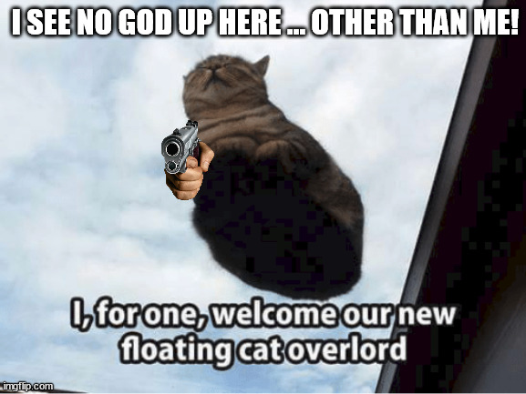 worship our lord, the cat | I SEE NO GOD UP HERE ... OTHER THAN ME! | image tagged in cats | made w/ Imgflip meme maker