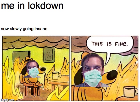 This Is Fine Meme | me in lokdown; now slowly going insane | image tagged in memes,this is fine | made w/ Imgflip meme maker