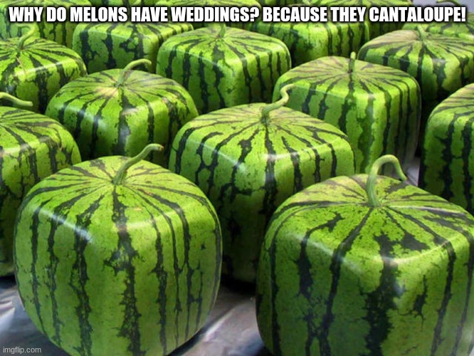Minecraft Melons | WHY DO MELONS HAVE WEDDINGS? BECAUSE THEY CANTALOUPE! | image tagged in minecraft melons | made w/ Imgflip meme maker