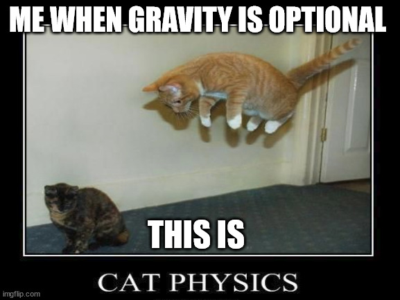 the kitty is god | ME WHEN GRAVITY IS OPTIONAL; THIS IS | image tagged in cats,funny meme | made w/ Imgflip meme maker