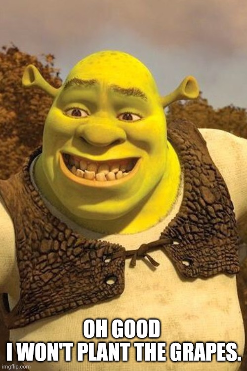 Smiling Shrek | OH GOOD 
I WON'T PLANT THE GRAPES. | image tagged in smiling shrek | made w/ Imgflip meme maker