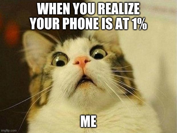 Scared Cat | WHEN YOU REALIZE YOUR PHONE IS AT 1%; ME | image tagged in memes,scared cat | made w/ Imgflip meme maker