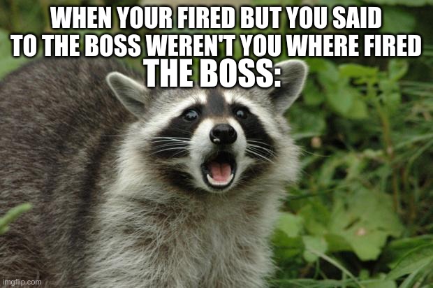 Surpised raccoon | WHEN YOUR FIRED BUT YOU SAID TO THE BOSS WEREN'T YOU WHERE FIRED; THE BOSS: | image tagged in surpised raccoon | made w/ Imgflip meme maker