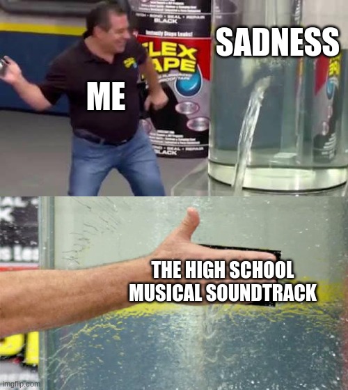 It's really good | SADNESS; ME; THE HIGH SCHOOL MUSICAL SOUNDTRACK | image tagged in flex tape | made w/ Imgflip meme maker