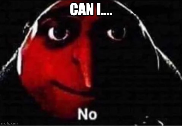 no | CAN I.... | image tagged in gru no | made w/ Imgflip meme maker