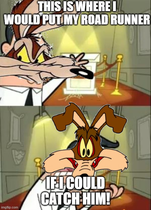 Remember | THIS IS WHERE I WOULD PUT MY ROAD RUNNER; IF I COULD CATCH HIM! | image tagged in this is where i'd put my trophy if i had one,looney tunes | made w/ Imgflip meme maker