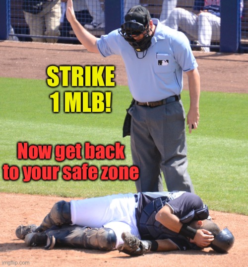 Umpire and Catcher | STRIKE 1 MLB! Now get back to your safe zone | image tagged in umpire and catcher | made w/ Imgflip meme maker