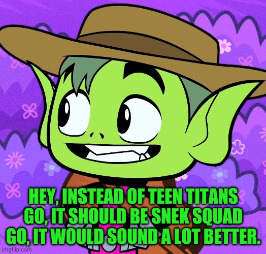 Cowboy Beast Boy (TTG) | HEY, INSTEAD OF TEEN TITANS GO, IT SHOULD BE SNEK SQUAD GO, IT WOULD SOUND A LOT BETTER. | image tagged in cowboy beast boy ttg | made w/ Imgflip meme maker