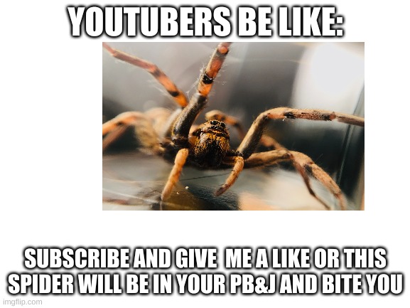 bruh | YOUTUBERS BE LIKE:; SUBSCRIBE AND GIVE  ME A LIKE OR THIS SPIDER WILL BE IN YOUR PB&J AND BITE YOU | image tagged in youtubers | made w/ Imgflip meme maker