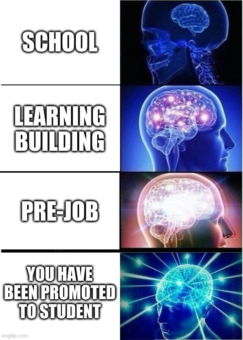 Expanding Brain Meme | SCHOOL; LEARNING BUILDING; PRE-JOB; YOU HAVE BEEN PROMOTED TO STUDENT | image tagged in memes,expanding brain,school | made w/ Imgflip meme maker