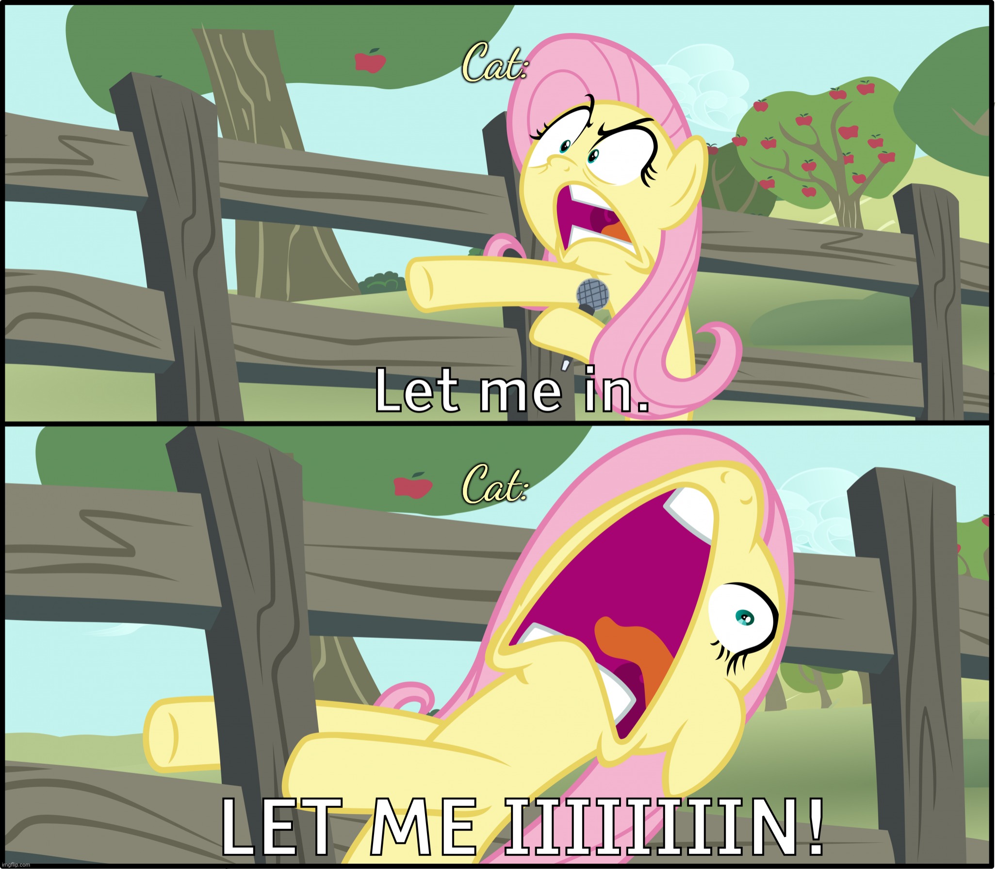 Fluttershy "Let Me In!" | Cat: Cat: | image tagged in fluttershy let me in | made w/ Imgflip meme maker