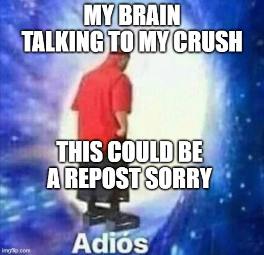 Adios | MY BRAIN TALKING TO MY CRUSH; THIS COULD BE A REPOST SORRY | image tagged in adios | made w/ Imgflip meme maker
