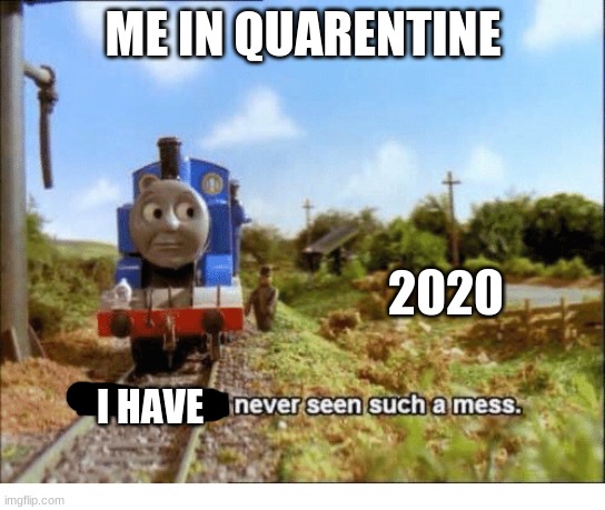 Thomas had never seen such a mess | ME IN QUARENTINE; 2020; I HAVE | image tagged in thomas had never seen such a mess | made w/ Imgflip meme maker