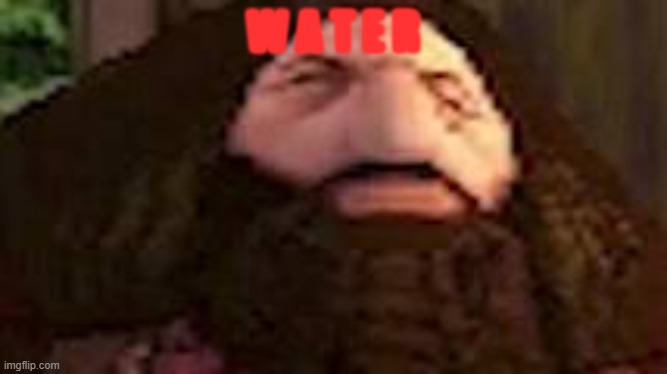 PS1 Hagrid | W A T E R | image tagged in ps1 hagrid | made w/ Imgflip meme maker