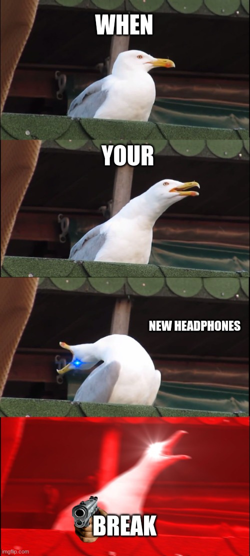 Inhaling Seagull | WHEN; YOUR; NEW HEADPHONES; BREAK | image tagged in memes,inhaling seagull | made w/ Imgflip meme maker