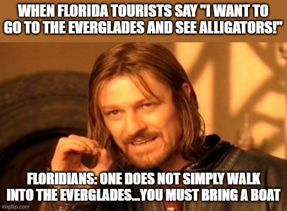 One Does Not Simply | WHEN FLORIDA TOURISTS SAY "I WANT TO GO TO THE EVERGLADES AND SEE ALLIGATORS!"; FLORIDIANS: ONE DOES NOT SIMPLY WALK INTO THE EVERGLADES...YOU MUST BRING A BOAT | image tagged in memes,one does not simply,floridians,aligators,everglades | made w/ Imgflip meme maker