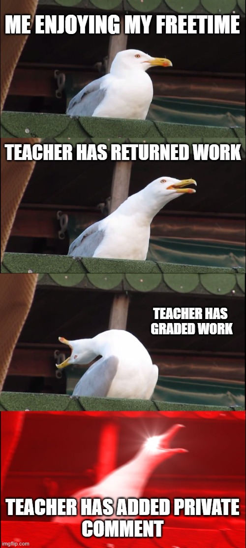 Inhaling Seagull Meme | ME ENJOYING MY FREETIME; TEACHER HAS RETURNED WORK; TEACHER HAS 
GRADED WORK; TEACHER HAS ADDED PRIVATE
COMMENT | image tagged in memes,inhaling seagull | made w/ Imgflip meme maker