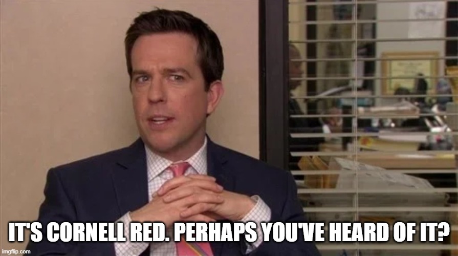 andy bernard | IT'S CORNELL RED. PERHAPS YOU'VE HEARD OF IT? | image tagged in andy bernard | made w/ Imgflip meme maker
