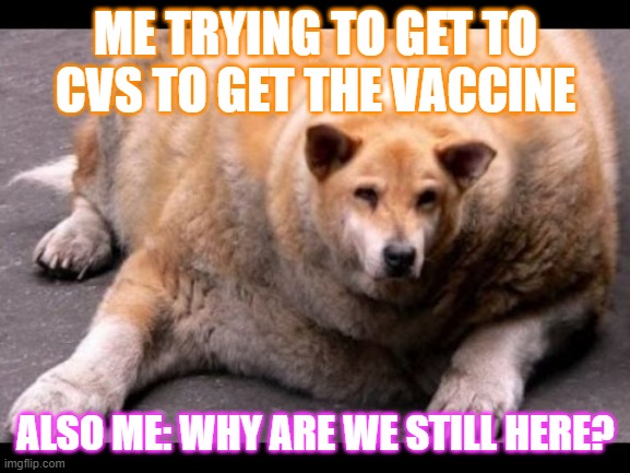 Vaccine DAY! | ME TRYING TO GET TO CVS TO GET THE VACCINE; ALSO ME: WHY ARE WE STILL HERE? | image tagged in coronavirus,covid | made w/ Imgflip meme maker