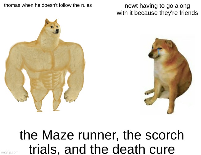 Buff Doge vs. Cheems Meme | thomas when he doesn't follow the rules; newt having to go along with it because they're friends; the Maze runner, the scorch trials, and the death cure | image tagged in memes,buff doge vs cheems | made w/ Imgflip meme maker