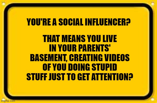 Blank Yellow Sign |  YOU'RE A SOCIAL INFLUENCER? THAT MEANS YOU LIVE IN YOUR PARENTS' BASEMENT, CREATING VIDEOS OF YOU DOING STUPID STUFF JUST TO GET ATTENTION? | image tagged in memes,blank yellow sign | made w/ Imgflip meme maker