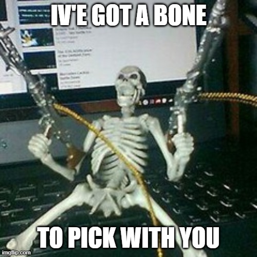 boney | IV'E GOT A BONE; TO PICK WITH YOU | image tagged in skeleton with guns,bone,guns,skeleton | made w/ Imgflip meme maker