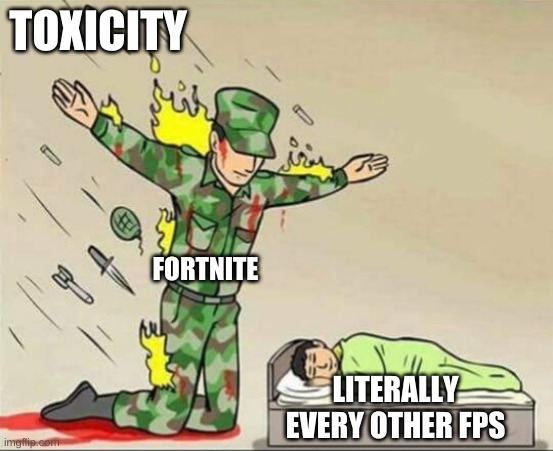 and everybody hates fortnite | TOXICITY; FORTNITE; LITERALLY EVERY OTHER FPS | image tagged in soldier protecting sleeping child | made w/ Imgflip meme maker