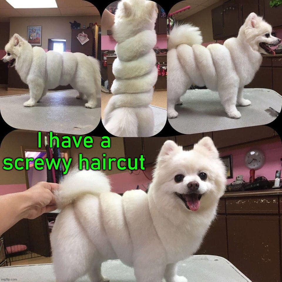 I have a screwy haircut | image tagged in dogs | made w/ Imgflip meme maker