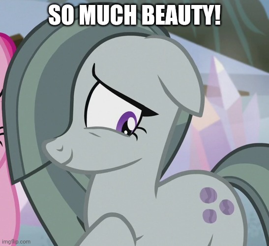 SO MUCH BEAUTY! | made w/ Imgflip meme maker