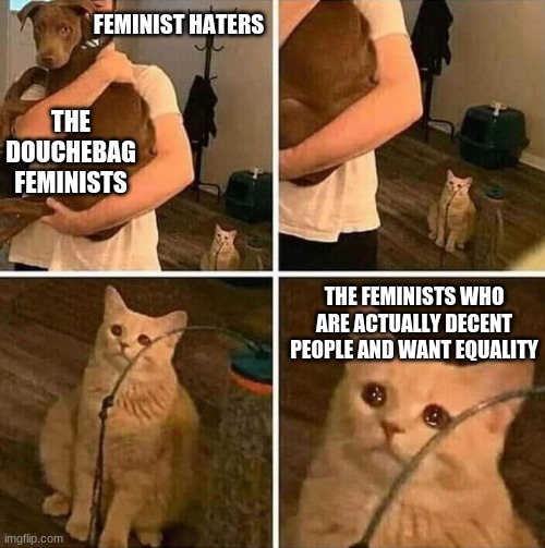 i can't think of a title lol | FEMINIST HATERS; THE DOUCHEBAG FEMINISTS; THE FEMINISTS WHO ARE ACTUALLY DECENT PEOPLE AND WANT EQUALITY | image tagged in crying cat comic,memes,so true memes | made w/ Imgflip meme maker