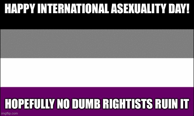 ace flag | HAPPY INTERNATIONAL ASEXUALITY DAY! HOPEFULLY NO DUMB RIGHTISTS RUIN IT | image tagged in ace flag | made w/ Imgflip meme maker