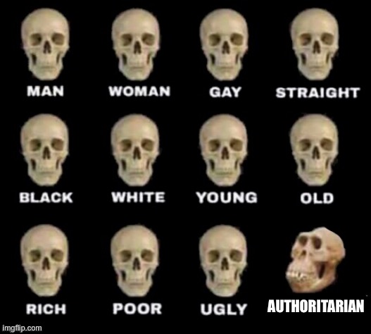 idiot skull | AUTHORITARIAN | image tagged in idiot skull | made w/ Imgflip meme maker