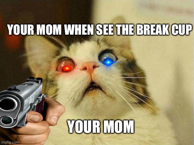 Fun | YOUR MOM WHEN SEE THE BREAK CUP; YOUR MOM | image tagged in memes,scared cat | made w/ Imgflip meme maker
