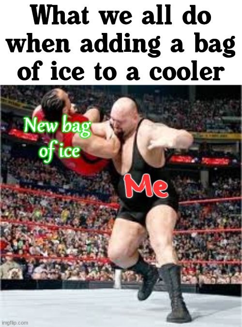Could be cooler. |  What we all do when adding a bag of ice to a cooler; New bag 
of ice; Me | image tagged in choke slam,ice,cooler | made w/ Imgflip meme maker